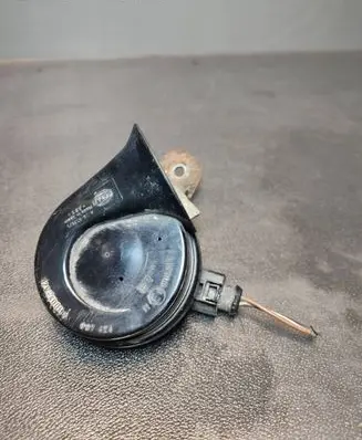 Volkswagen PASSAT B6 Horn signal E1000209