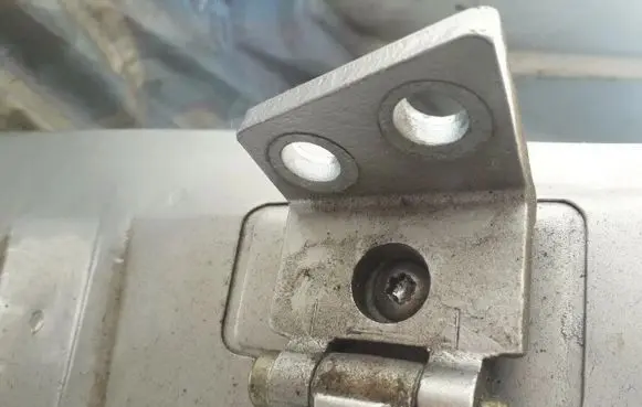 Citroen Xsara Picasso Rear door lower hinge