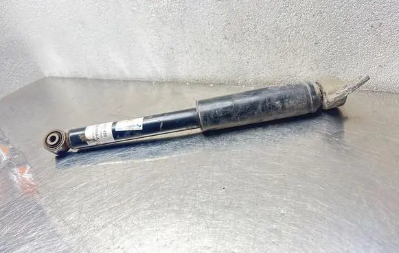 Opel Insignia A Rear shock absorber/damper 315439 30M69A 814902006942