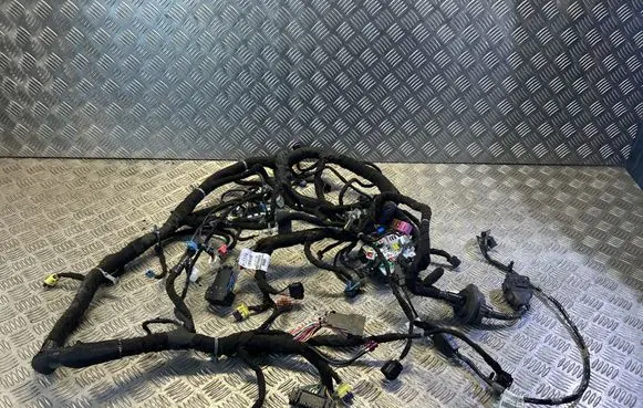 Chevrolet Camaro Other wiring loom 20016940