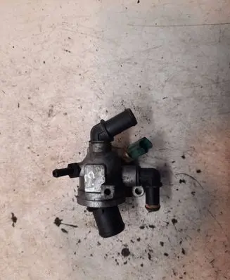 Thermostat/thermostat housing