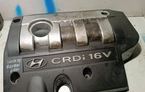 Hyundai Santa Fe Engine cover (trim) 2924027101