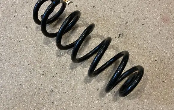 Rear coil spring
