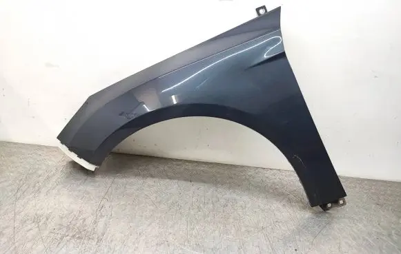 Ford Focus Fender