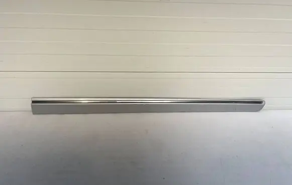 Mercedes-Benz B W245 Front door trim (molding) A1696983662