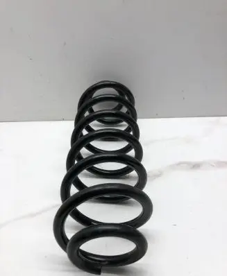 Volkswagen PASSAT B6 Rear coil spring