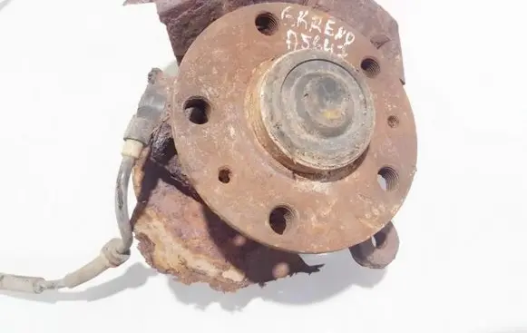 Renault Laguna I Rear wheel hub