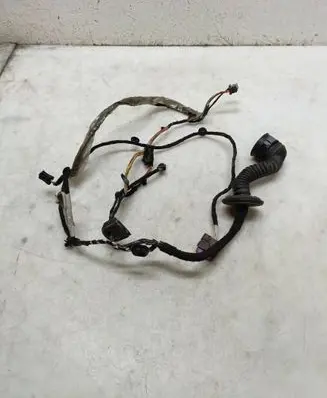 Front door wiring loom