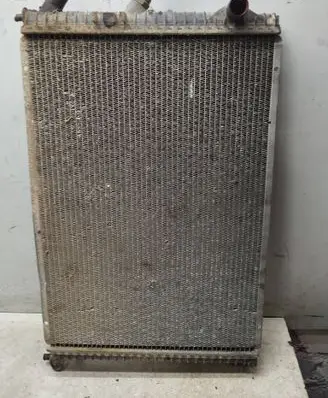 Renault Laguna II Coolant radiator 2176510003 165025