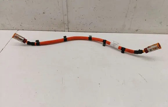 Mercedes-Benz EQE v295 Other wiring loom A2975404416