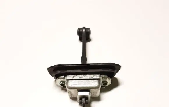 Nissan Qashqai Rear door check strap stopper ES05 80440JD00A
