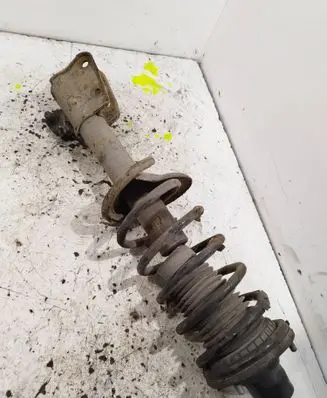 Land Rover Freelander Rear shock absorber with coil spring 22190234r