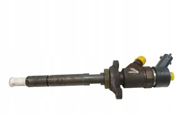 Citroen Berlingo Fuel injector 0445110239