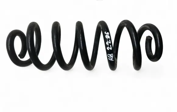 Rear coil spring