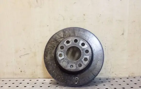 Skoda Yeti (5L) Rear brake disc
