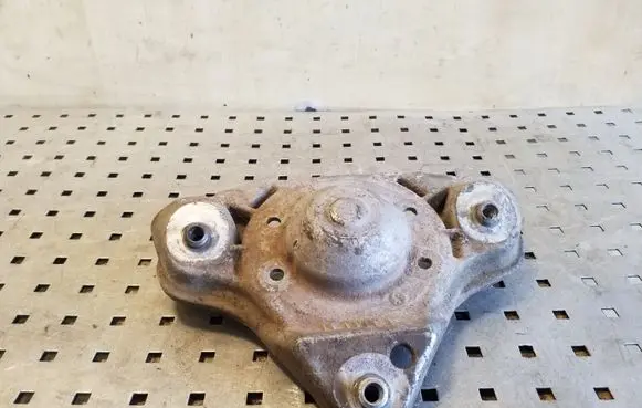 Coil spring mount