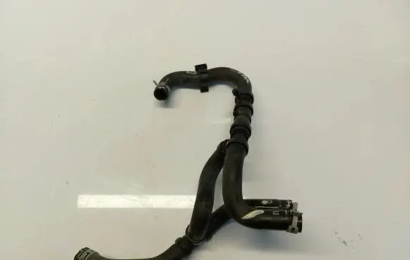 Nissan Juke II F16 Engine coolant pipe/hose