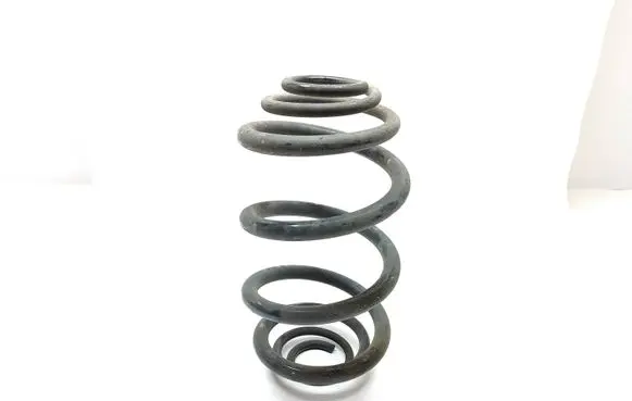 Renault Trafic III (X82) Rear coil spring