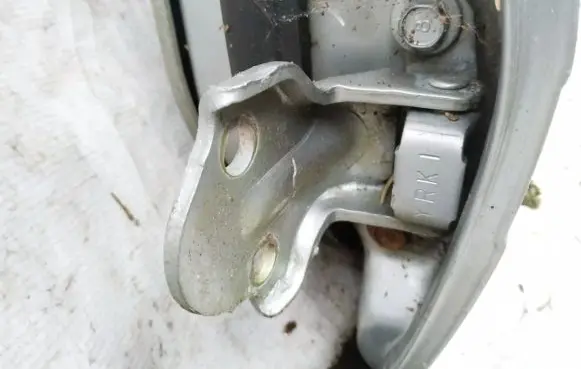 Rear door lower hinge
