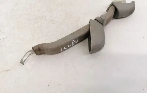 Chevrolet Epica Rear interior roof grab handle