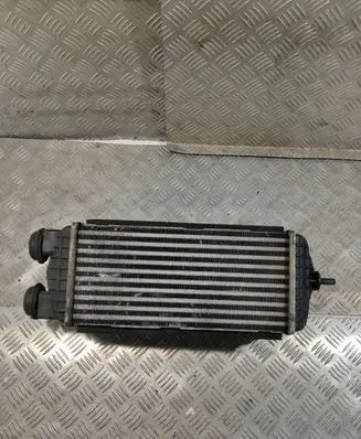 KIA Sportage Intercooler radiator 282702A510