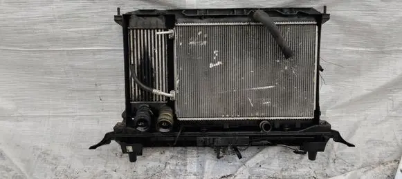 Peugeot 3008 I Radiator set PASPRZEDNI3008
