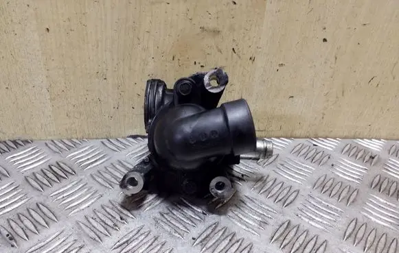 Thermostat/thermostat housing