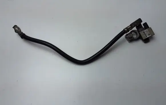 Ford Kuga II Negative earth cable (battery) F1FT10C679BA
