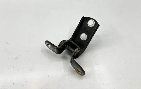 Toyota Hilux (AN10, AN20, AN30) Rear door lower hinge
