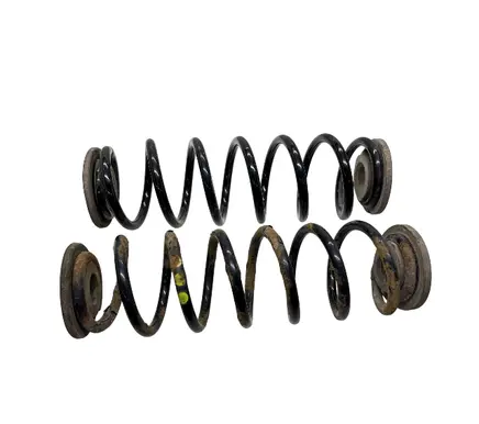 Rear coil spring