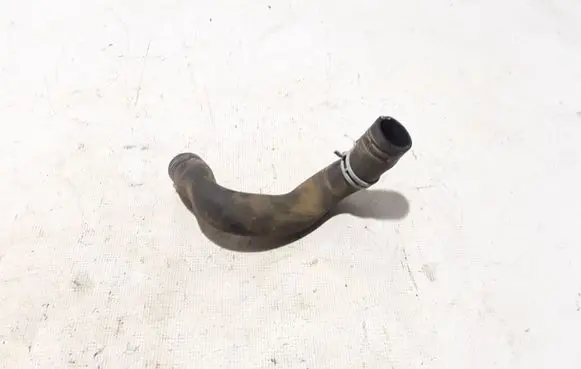 Dacia Sandero III Engine coolant pipe/hose 215038971R