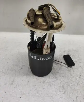 Citroen Berlingo In-tank fuel pump