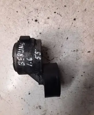 Citroen Berlingo Alternator belt tensioner 541273