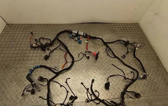 Tesla Model Y Other wiring loom 248905807B