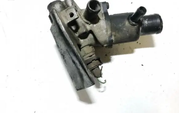 Renault Scenic I Engine coolant pipe/hose 7700103300 9065980077
