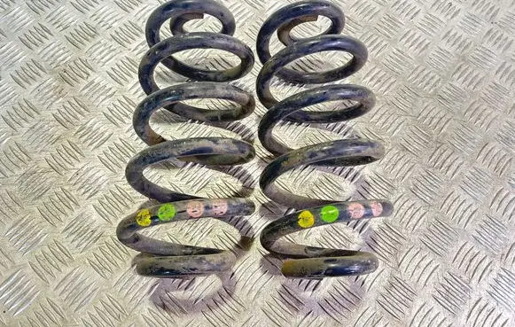 Audi A6 S6 C6 4F Rear coil spring