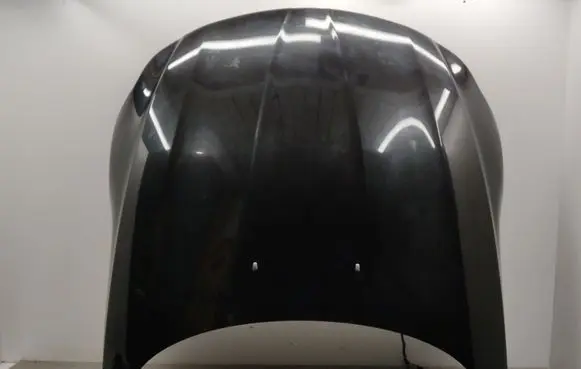 BMW Z4 E89 Engine bonnet/hood 