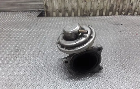 EGR valve