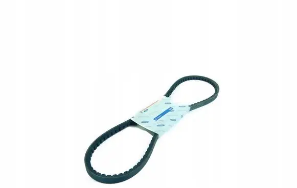 Ford Transit Alternator belt 5026972