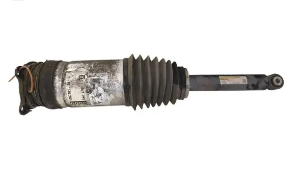 Tesla Model S Shock absorber/damper/air suspension 106746125C W309255100