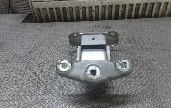Opel Vivaro Loading door lower hinge 312304K 66379