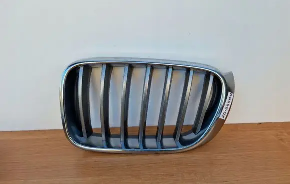 BMW X3 F25 Front grill 51117210725