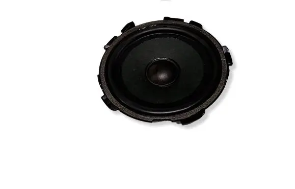 Panel speaker
