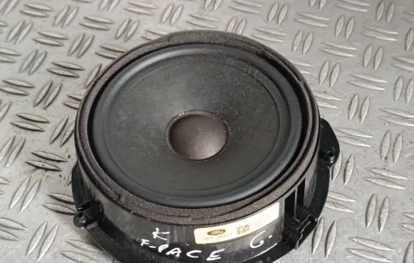 Jaguar F-Pace Rear door speaker GX7318808CE