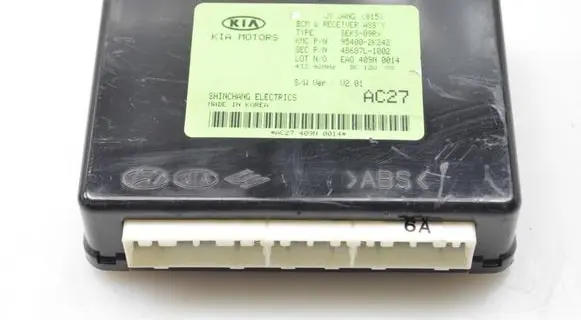 KIA Soul Other control units/modules 954002K242