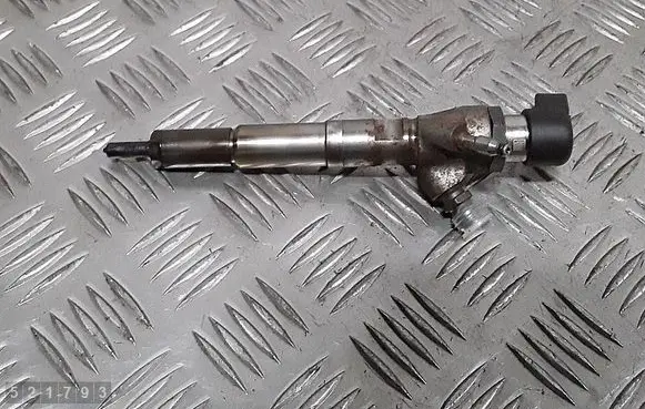 Renault Kadjar Fuel injector H8201100113 166006212R