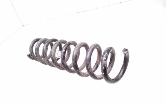 Rear coil spring