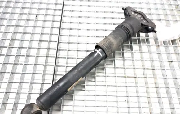 Citroen C4 III e-C4 Rear shock absorber/damper 9841379480