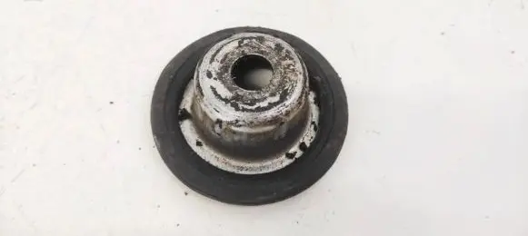Coil spring mount