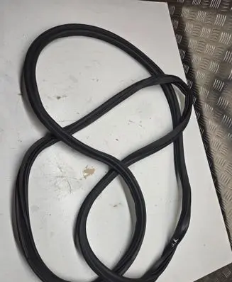 Volkswagen Tiguan Allspace Rear door rubber seal (on body) 